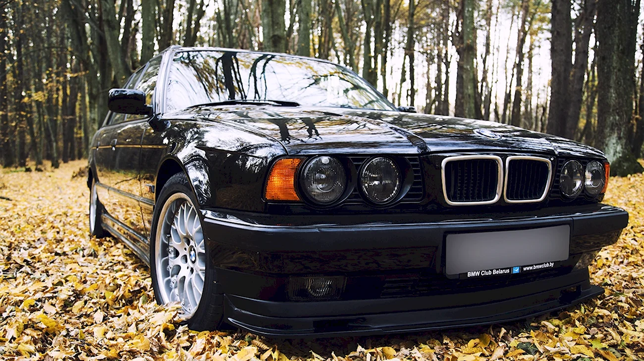 BMW 525 e34. Картинка