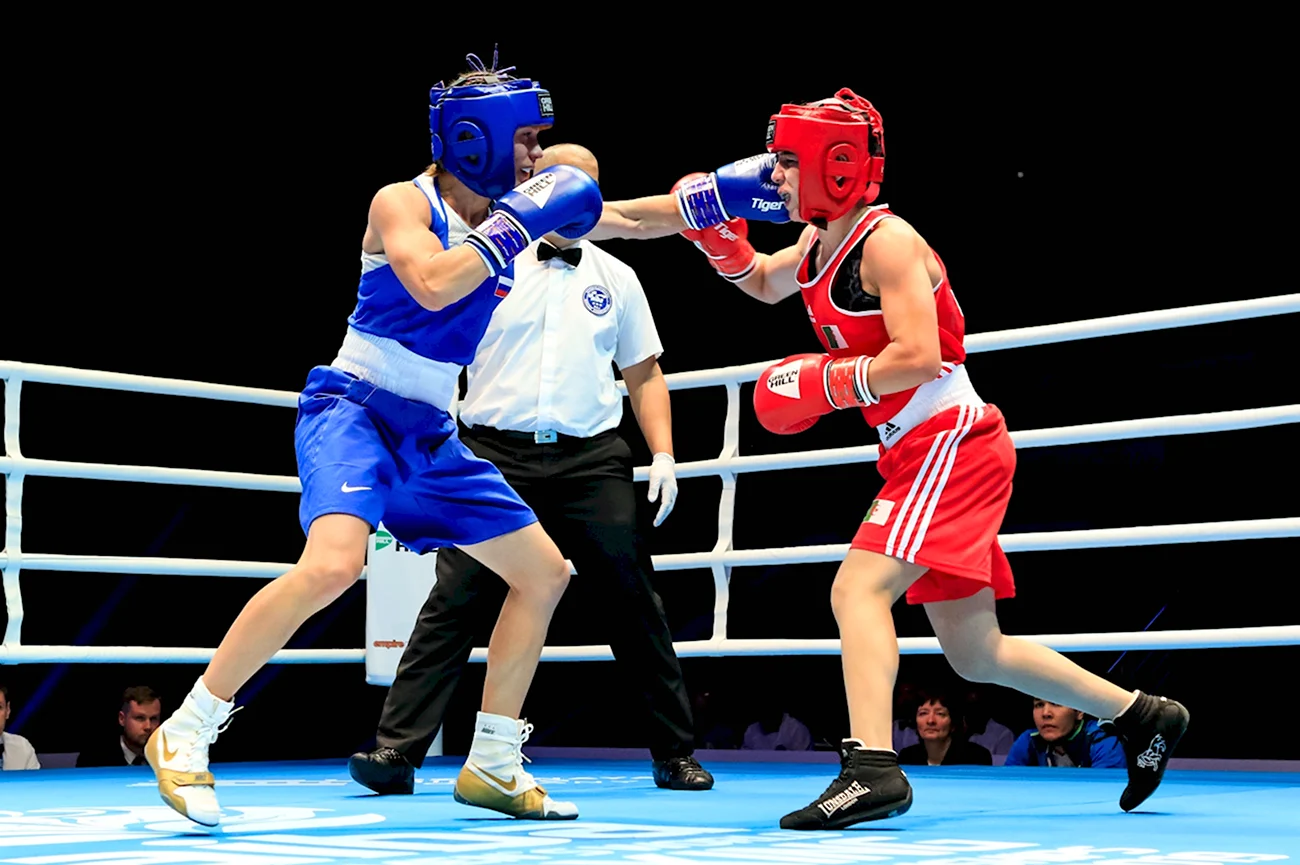 Бой бокс Чемпионат мира 2009 г. Картинка