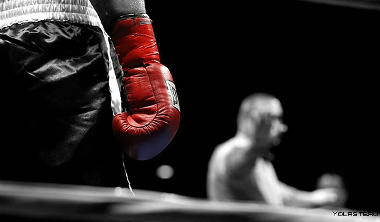 Боксерские перчатки на ринге. Картинка