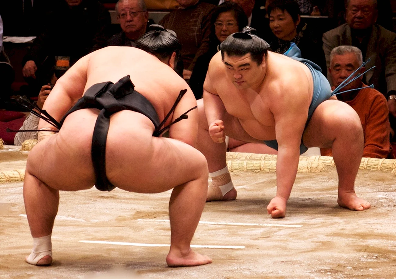 Борьба сумо Япония. Прикольная картинка