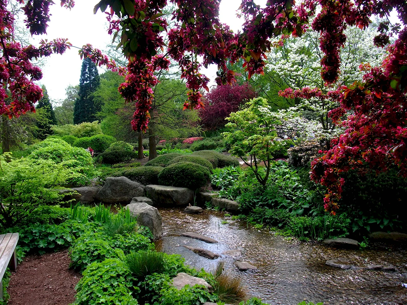 Ботанический сад Гамбурга. Красивая картинка