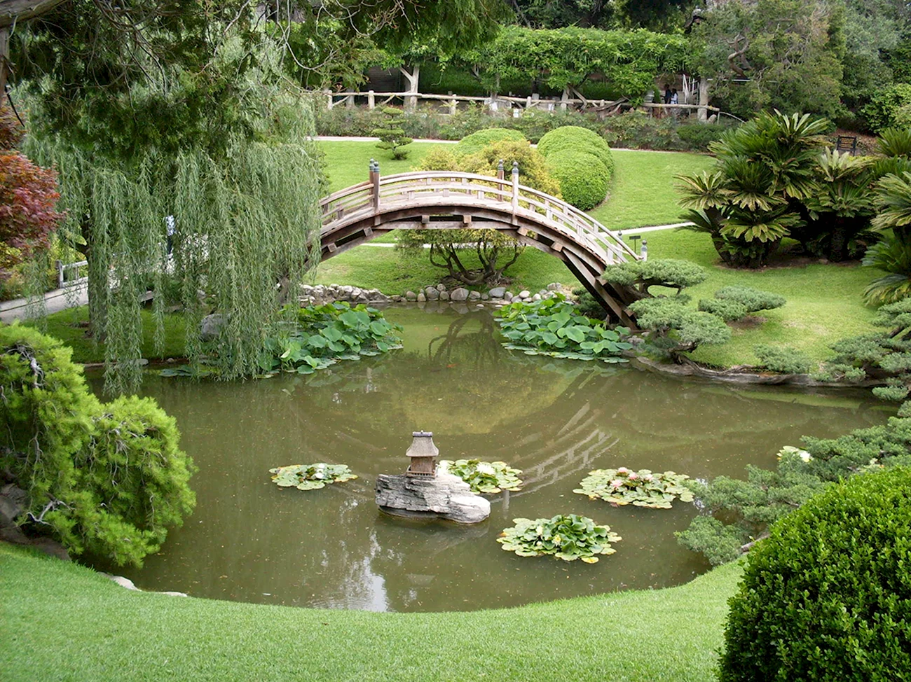 Ботанический сад Уизли. Красивая картинка