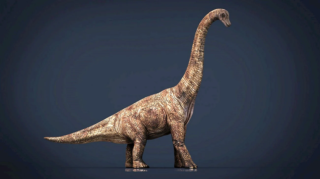 Брахиозавр. Картинка