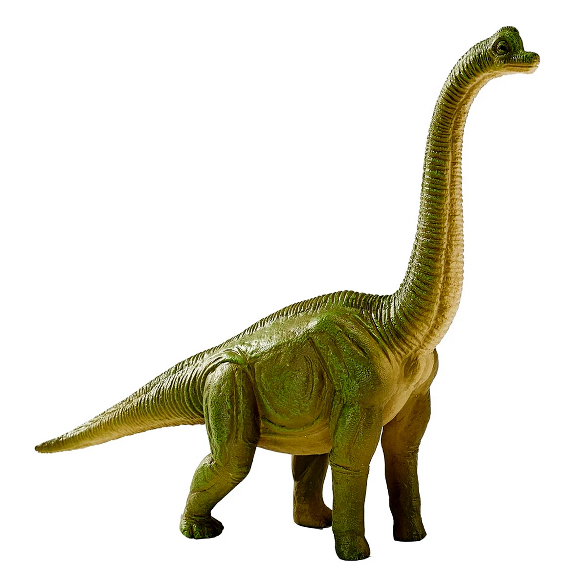 Брахиозавр и Диплодок. Картинка