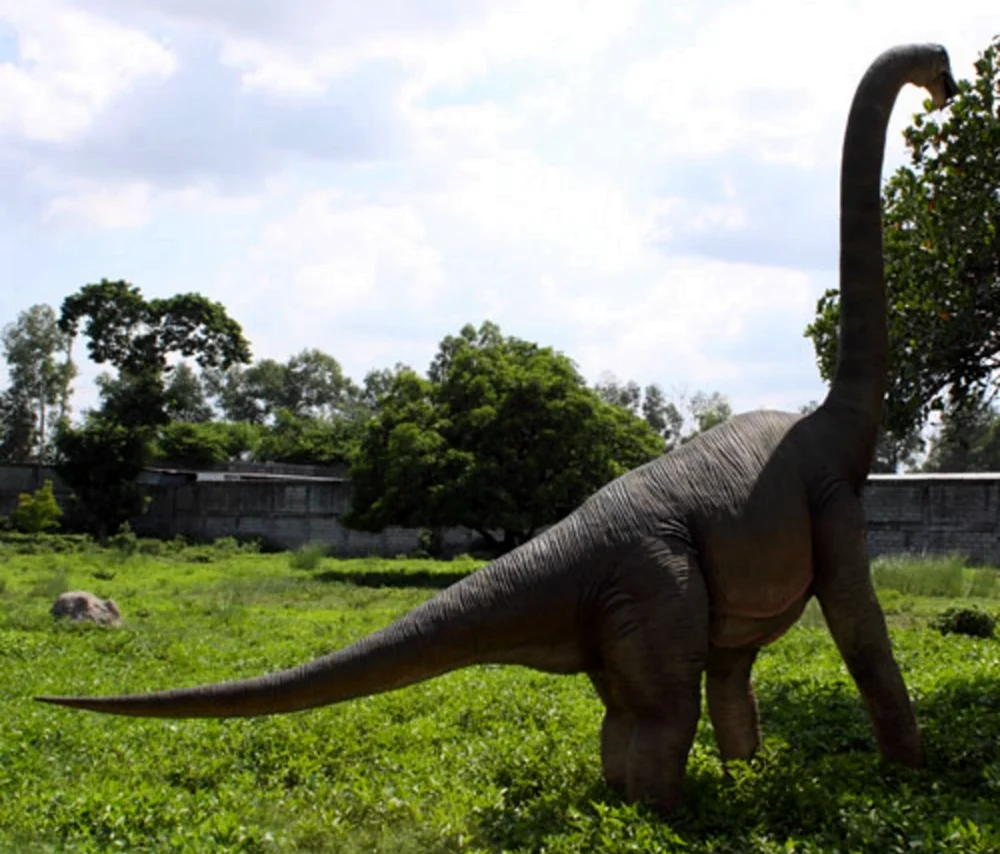 Брахиозавр статуя. Картинка