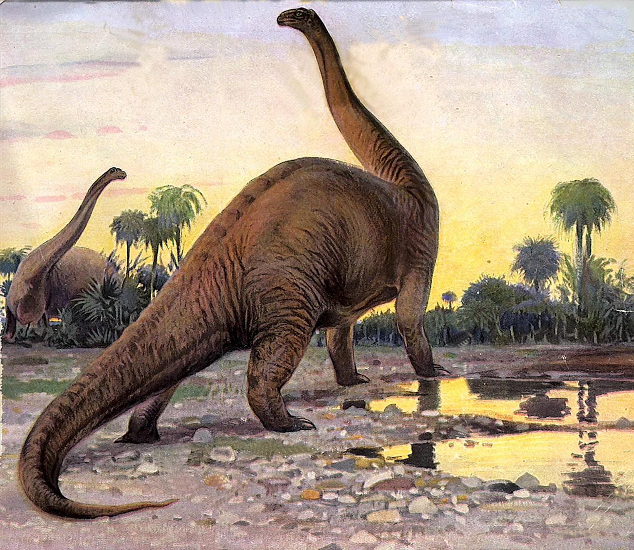 Бронтозавр динозавры Юрского периода. Картинка