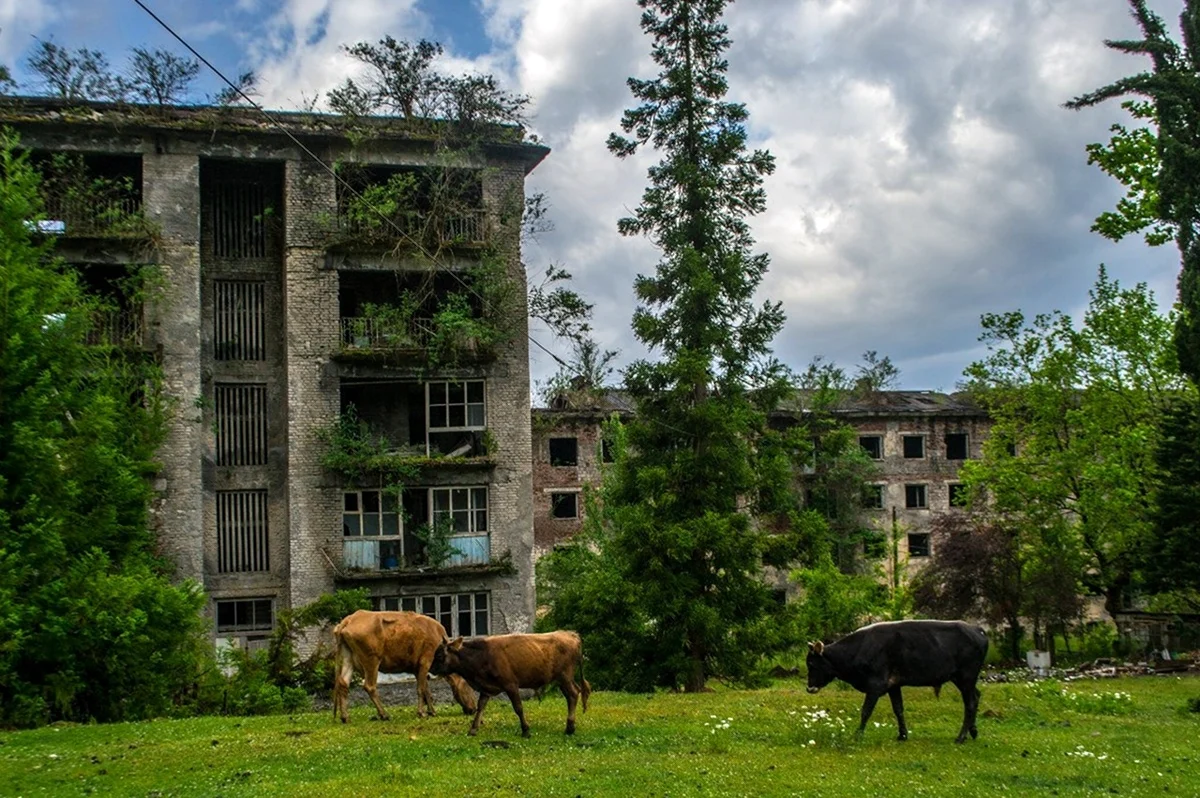 Брошенный город в Абхазии. Картинка