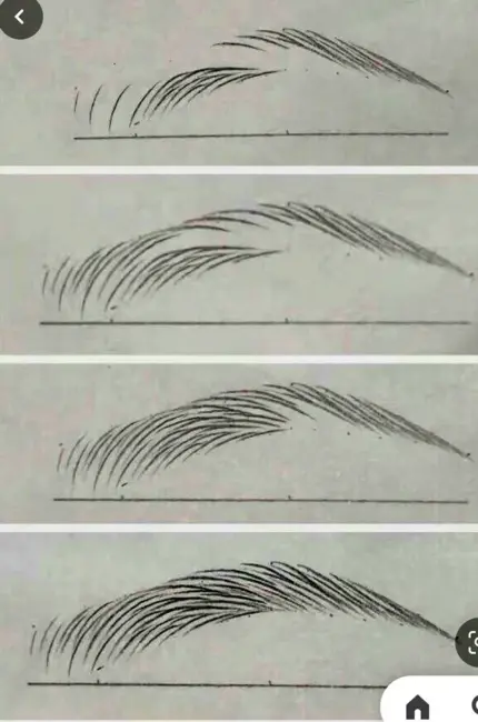 Брови волосковая техника схема. Для срисовки