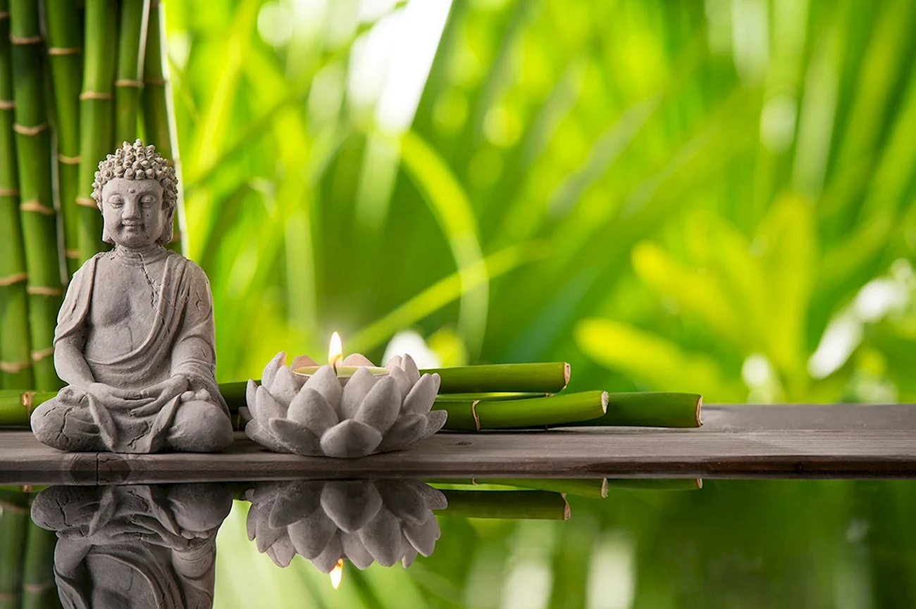 Будда бамбук. Картинка