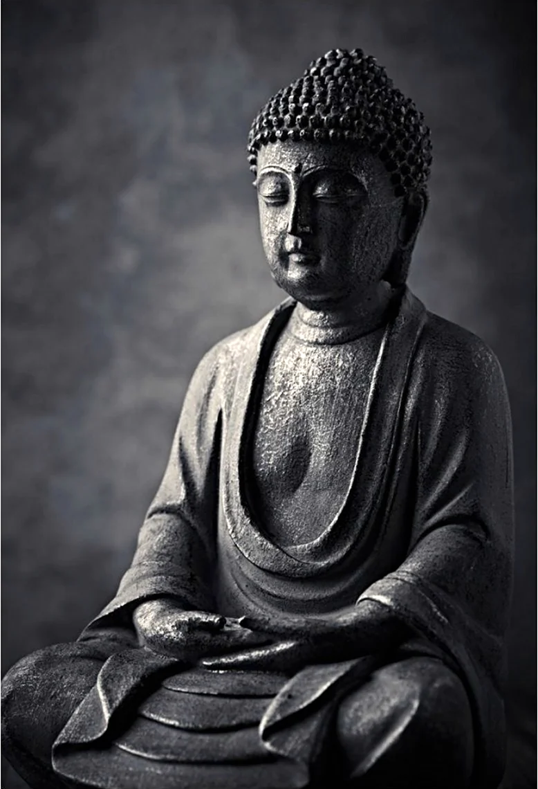 Будда Гаутама Шакьямуни. Картинка