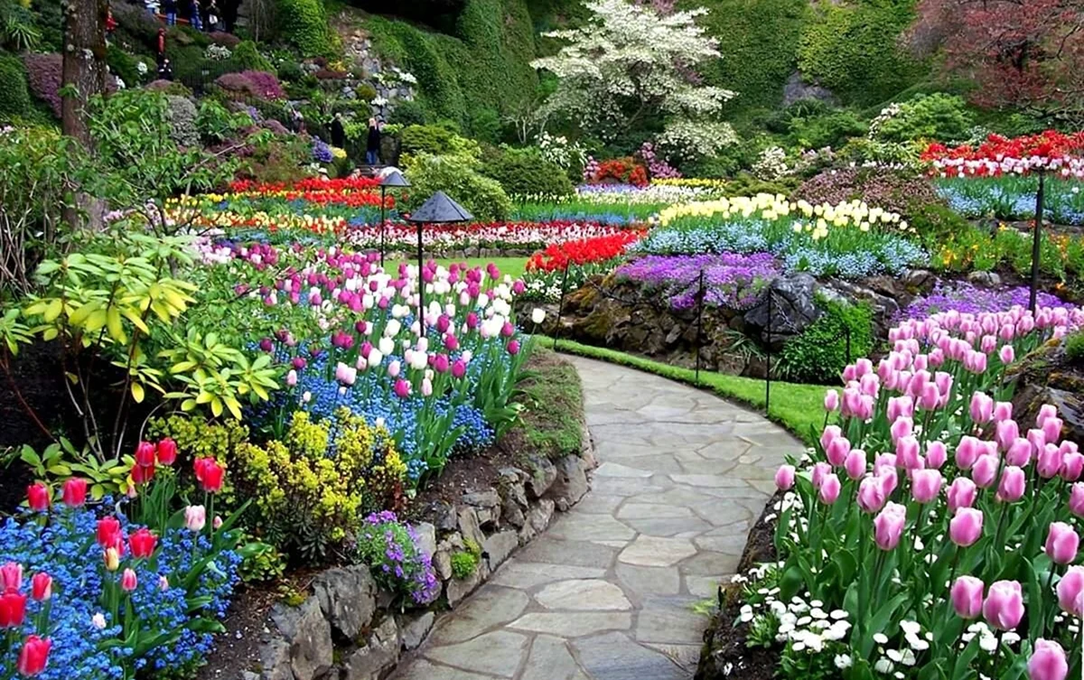 Будхарт сады Британская Колумбия. Красивая картинка