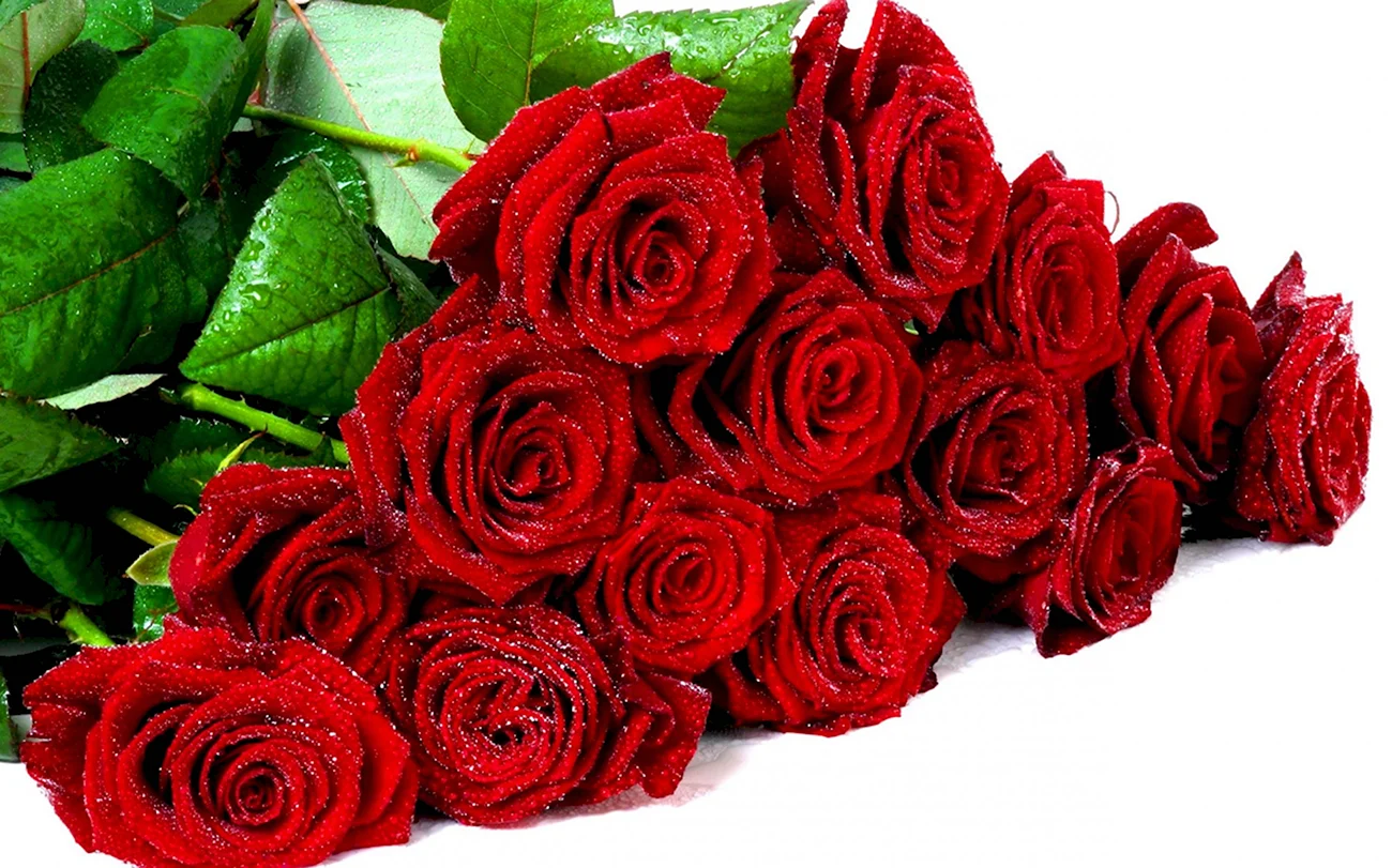Букет красных роз. Картинка