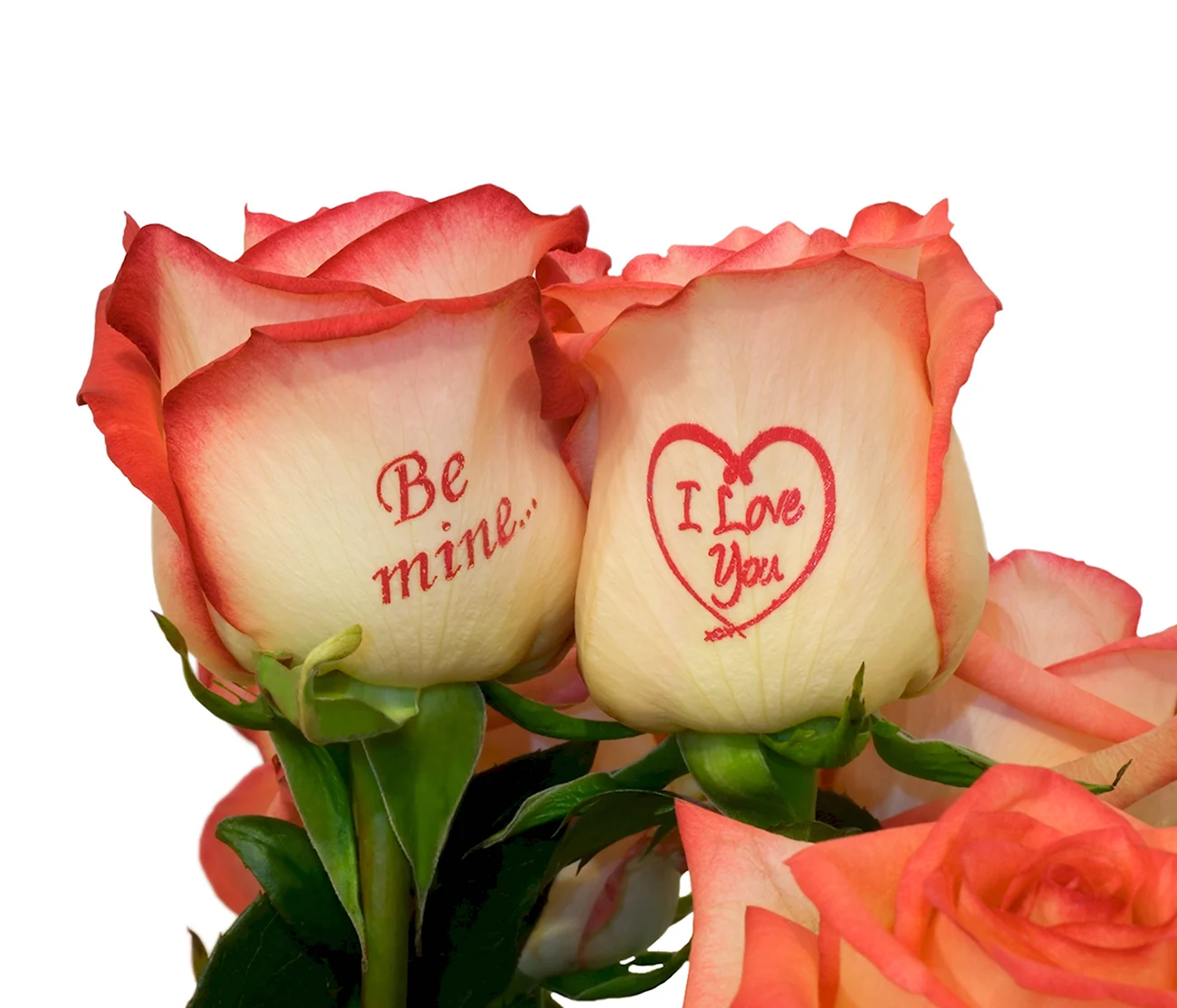 Букет роз с признанием в любви. Красивая картинка