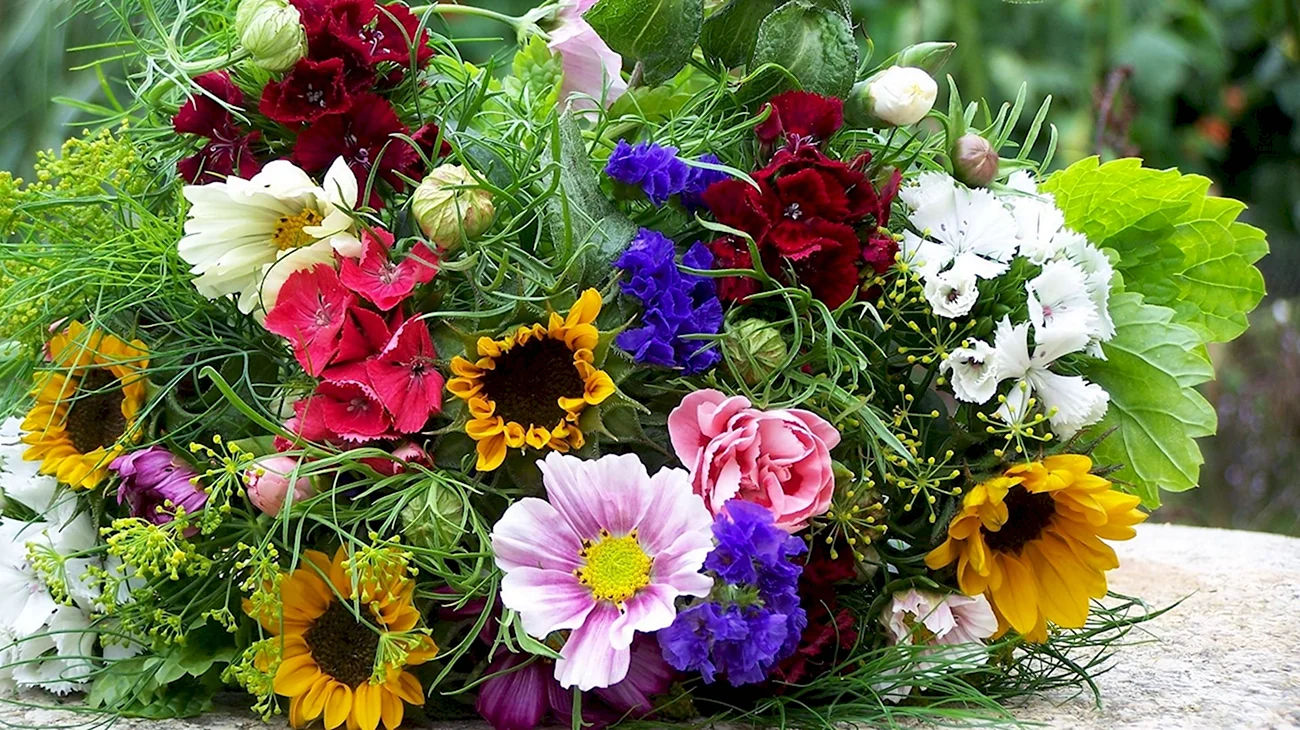 Букет цветов «летний». Красивая картинка