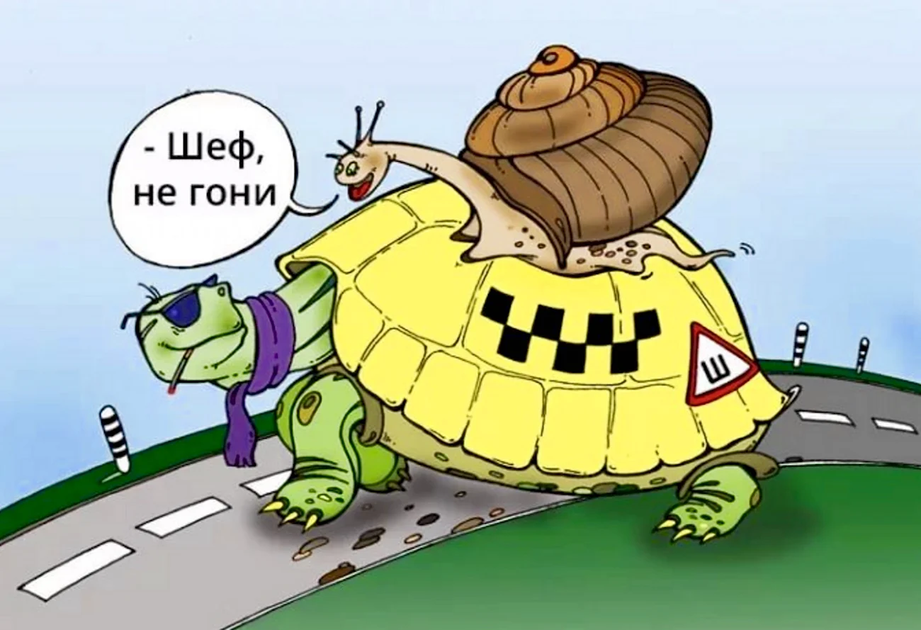 Черепаха карикатура. Поздравление