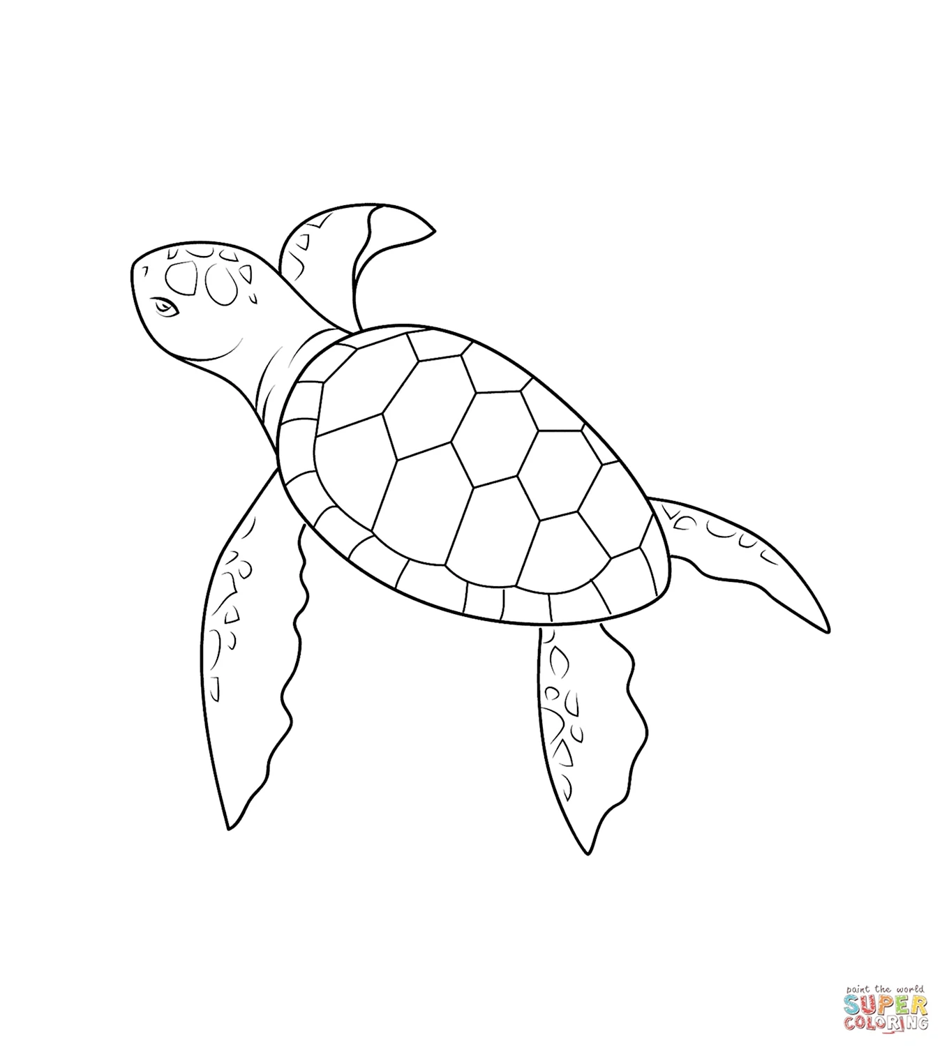 Черепаха раскраска для детей. Для срисовки