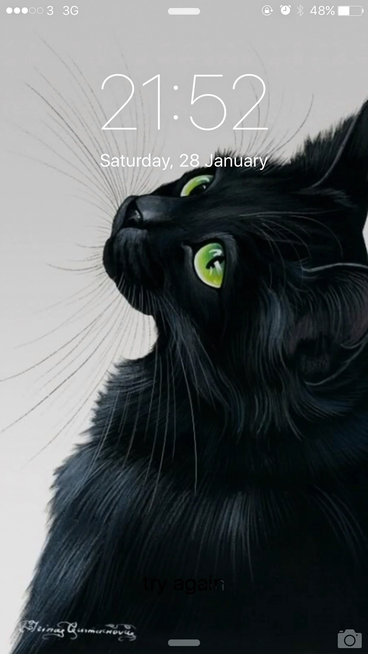 Чёрный кот арт. Для срисовки
