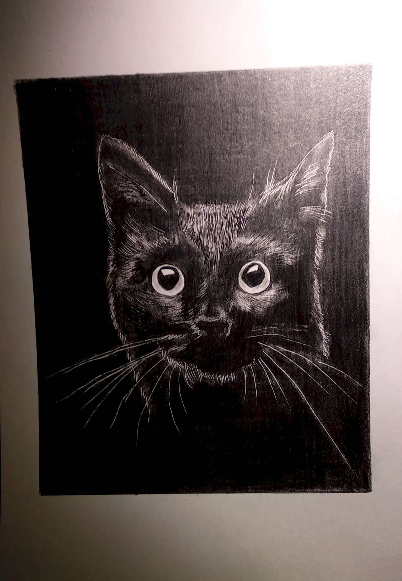 Черный кот карандашом. Для срисовки