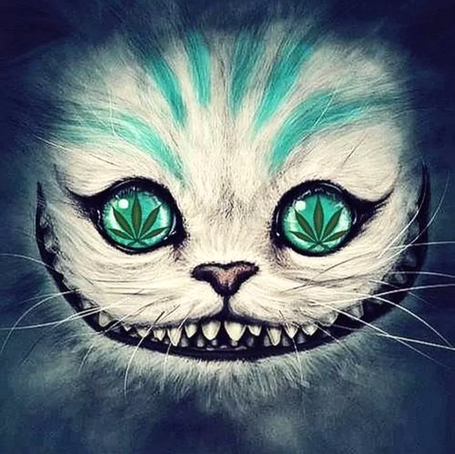 Чеширский кот. Красивое животное