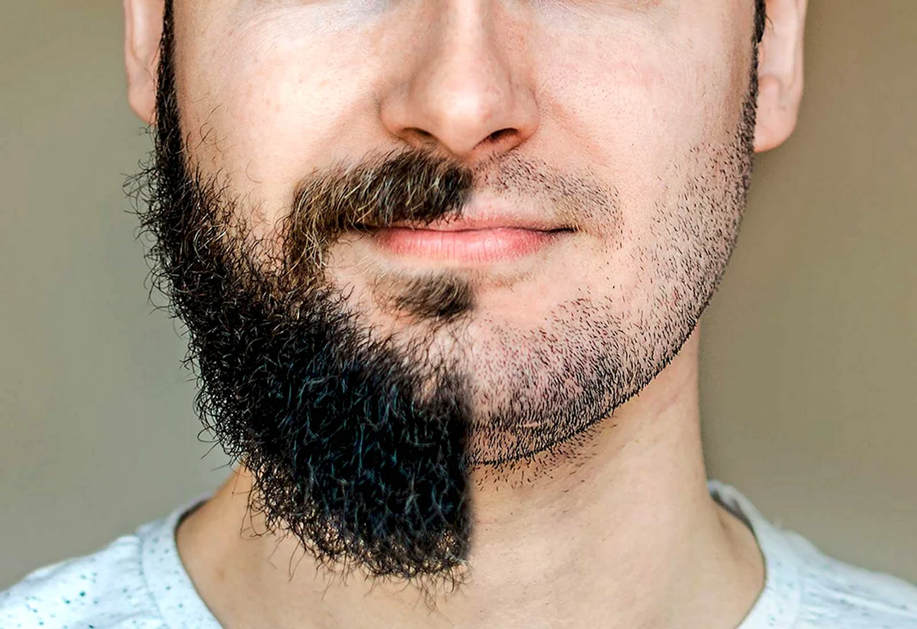 Chin Puff борода. Картинка