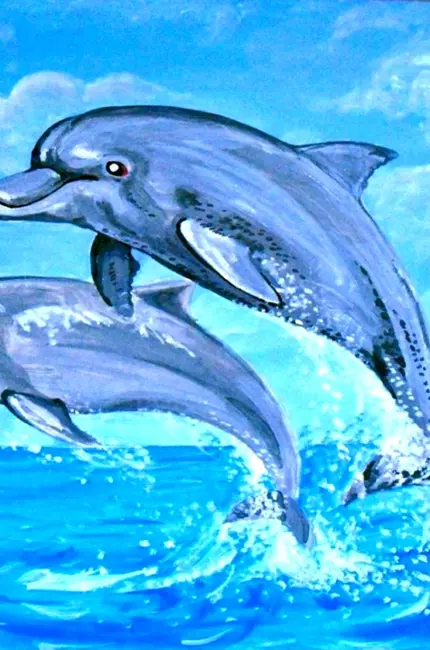 Дельфин рисунок. Для срисовки