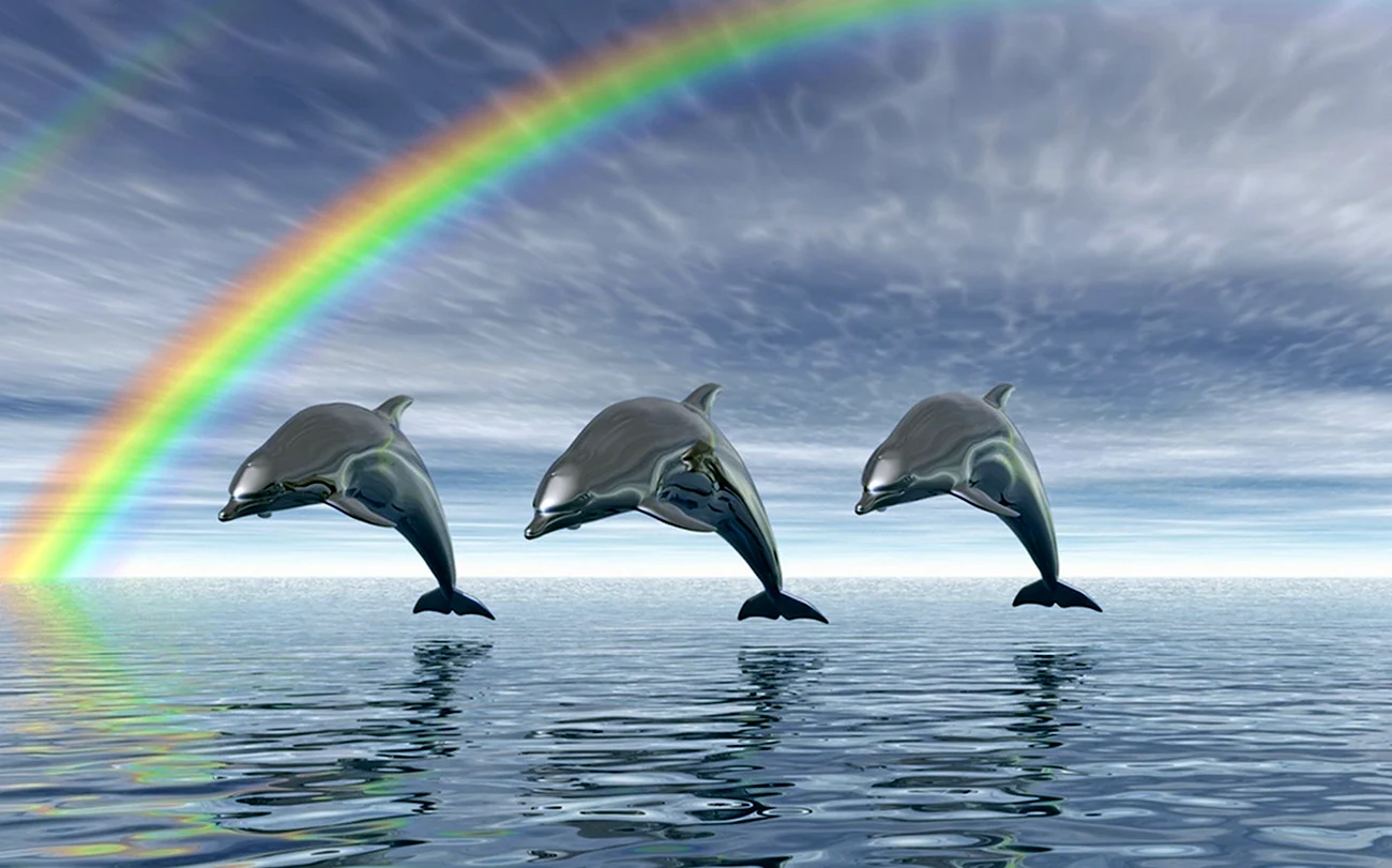 Дельфины Радуга. Картинка