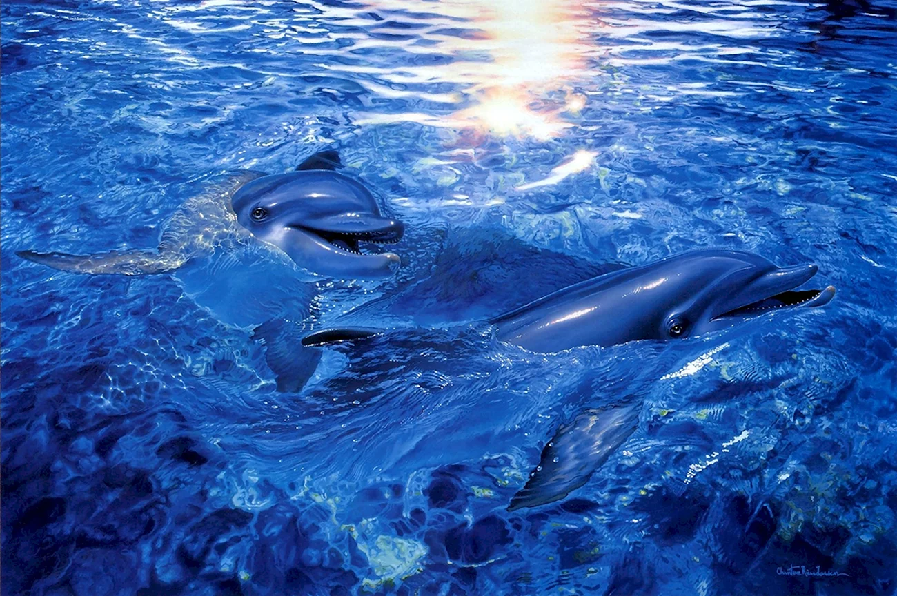 Дельфины в море. Картинка