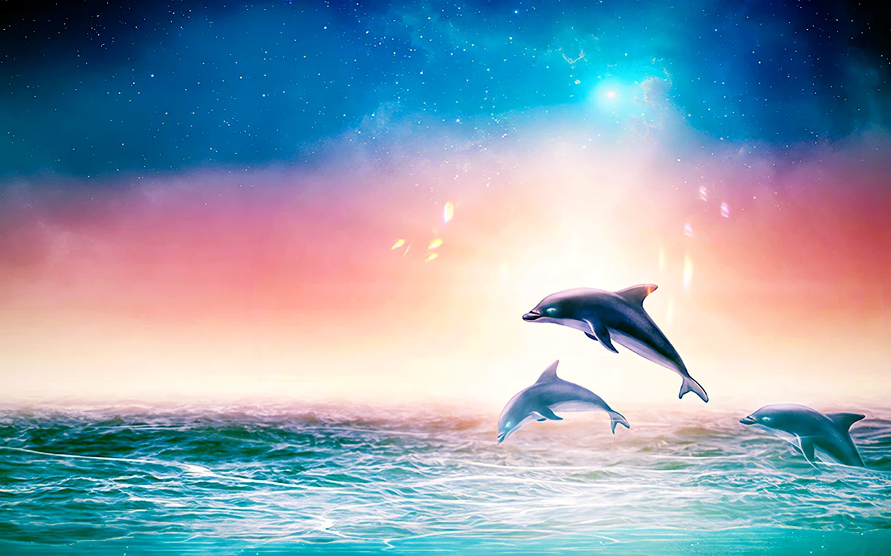 Дельфины в океане. Картинка