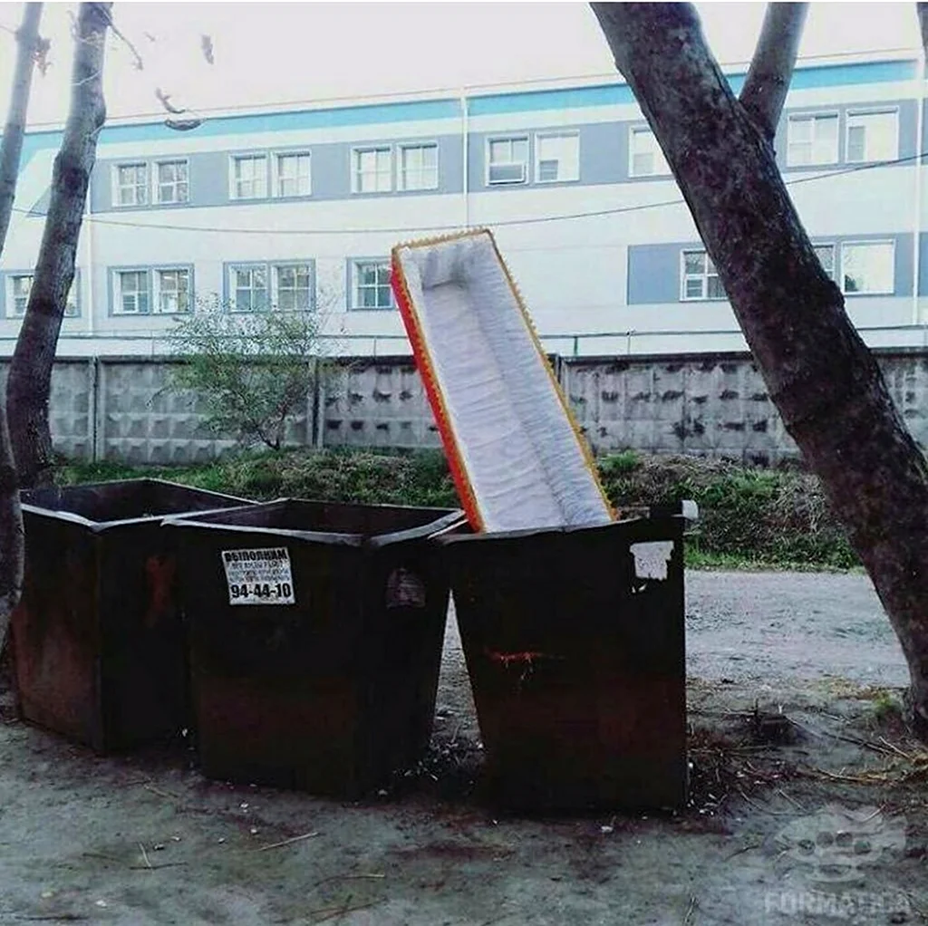 Демотиватор мусорные баки. Прикольная картинка
