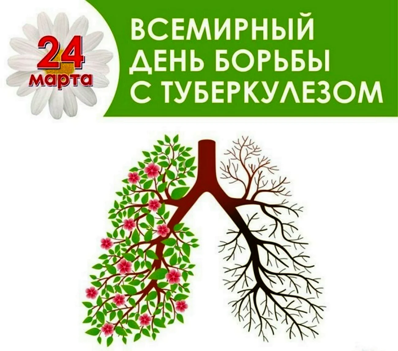 День борьбы с туберкулезом. Поздравление