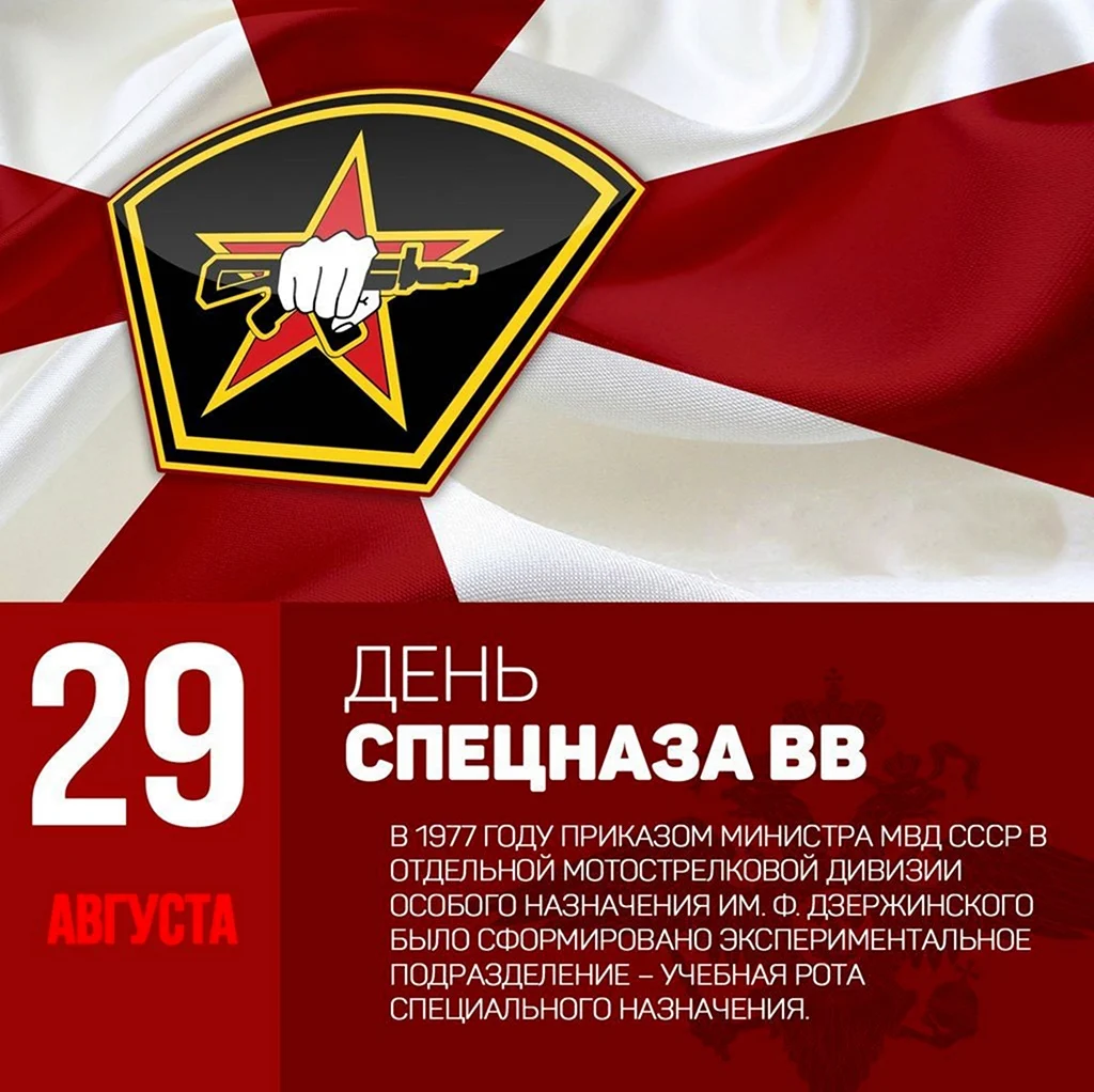 День подразделений специального назначения ВВ МВД РФ 29 августа. Поздравление