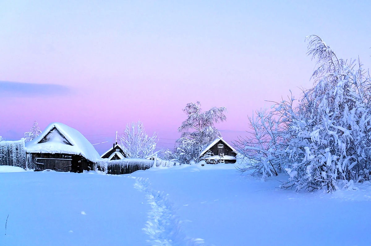 Деревня зимой. Красивая картинка