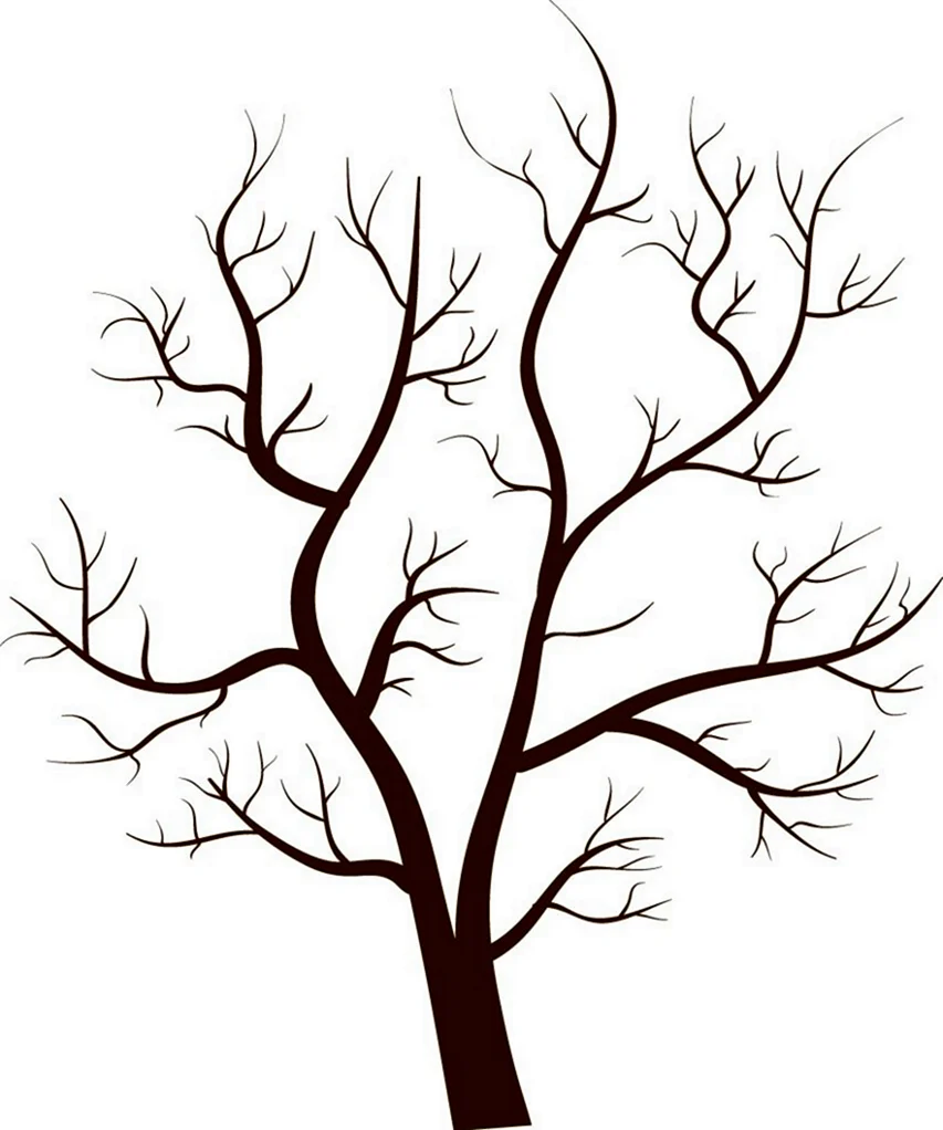 Дерево без листьев. Картинка