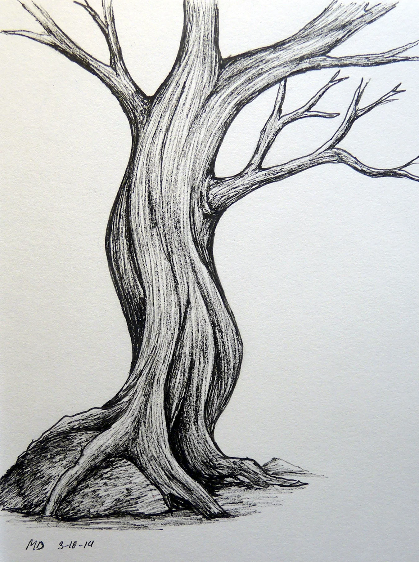 Дерево рисунок. Для срисовки