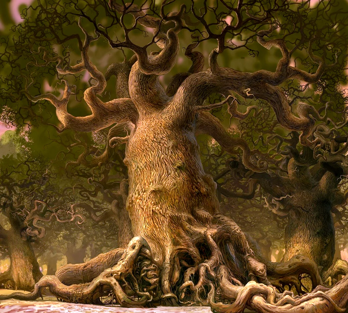 Дерево Утун. Картинка