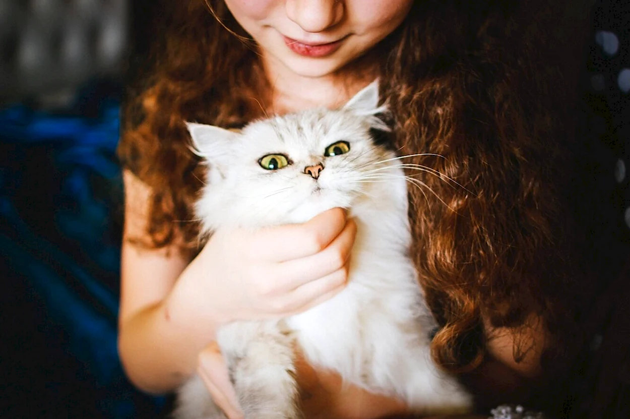 Девушка и белая кошка. Красивая девушка