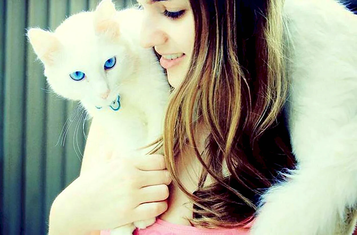 Девушка с белым котом. Красивая девушка