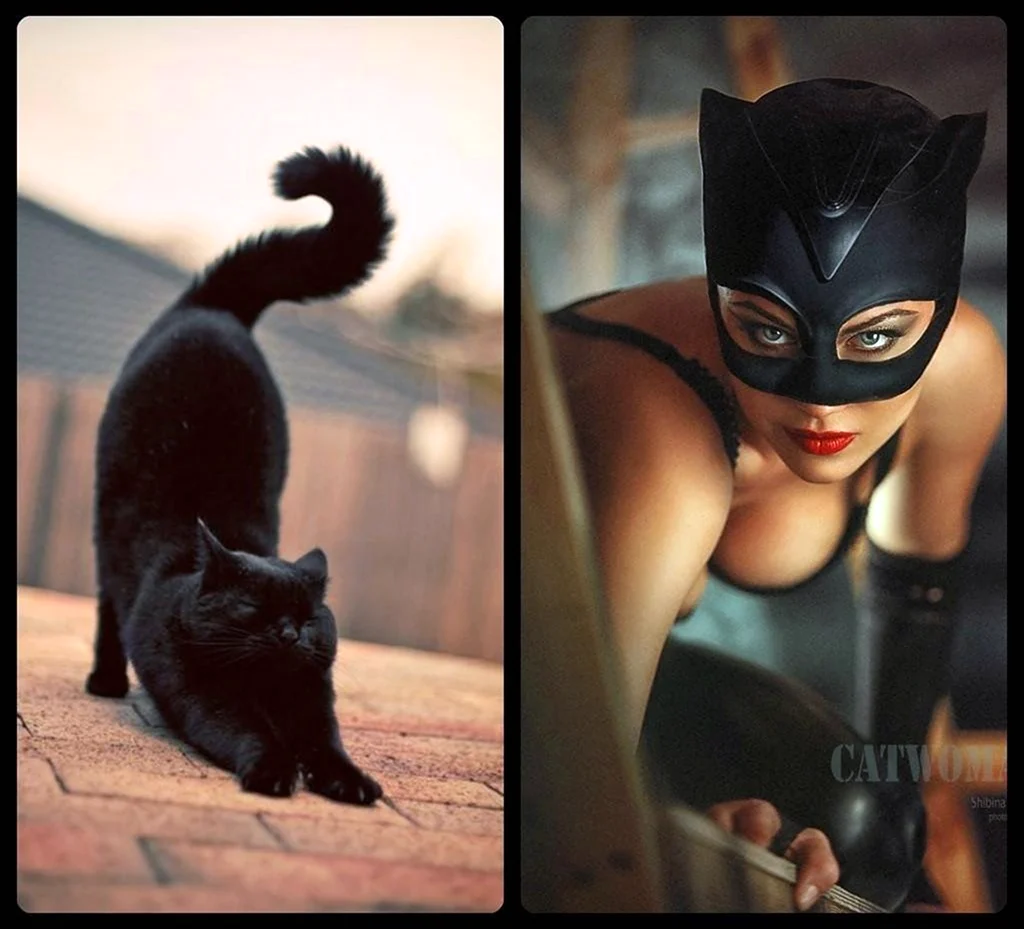 Девушка с черной кошкой. Красивая девушка