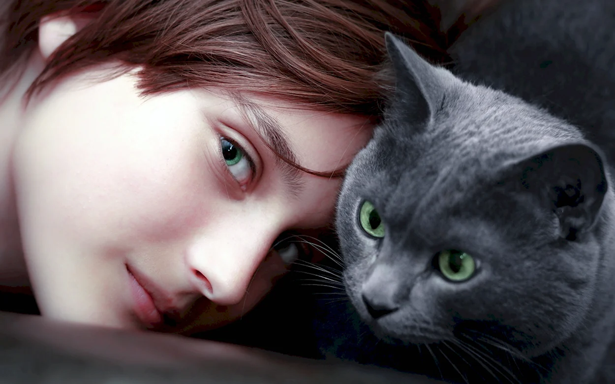 Девушка с кошачьими глазами. Красивая девушка