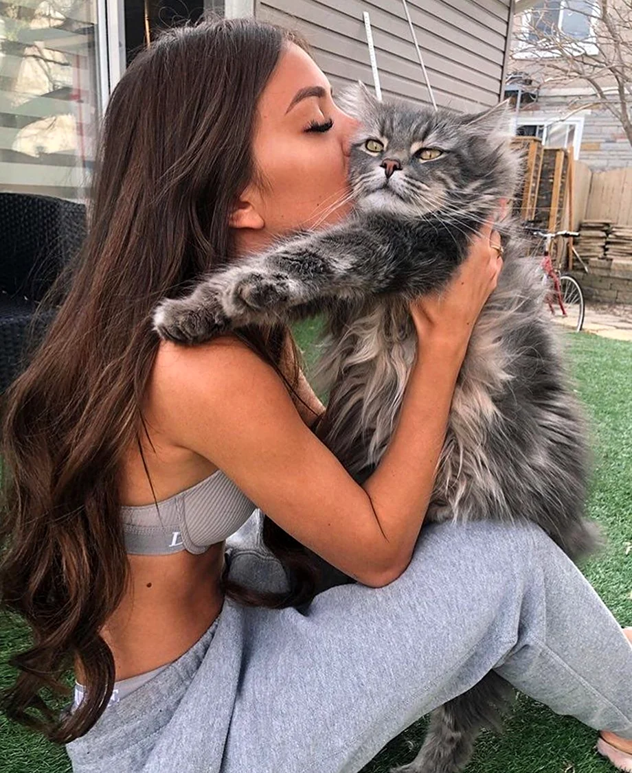 Девушка с котом. Красивая девушка