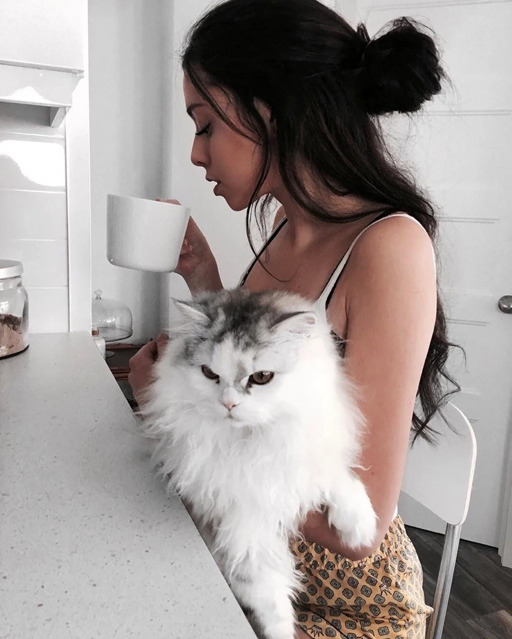 Девушка с котом Эстетика. Красивая девушка