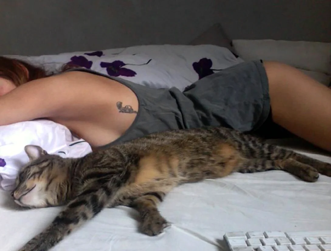 Девушка с котом на кровати. Красивая девушка