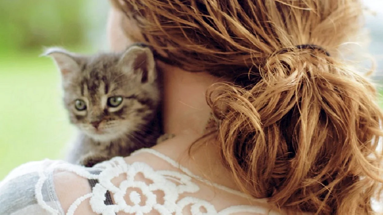 Девушка с котом на плече. Красивая девушка