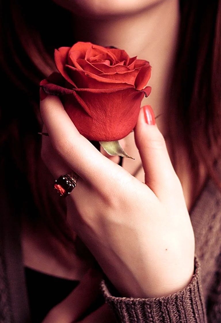 Девушка с розой. Красивая картинка