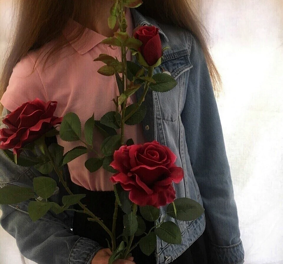 Девушка с розой без Лиза. Красивая девушка