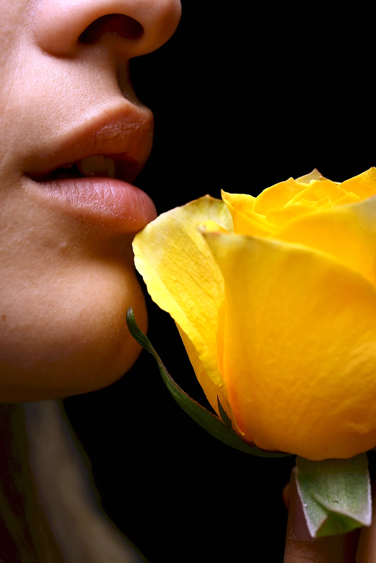 Девушка с желтыми розами. Картинка