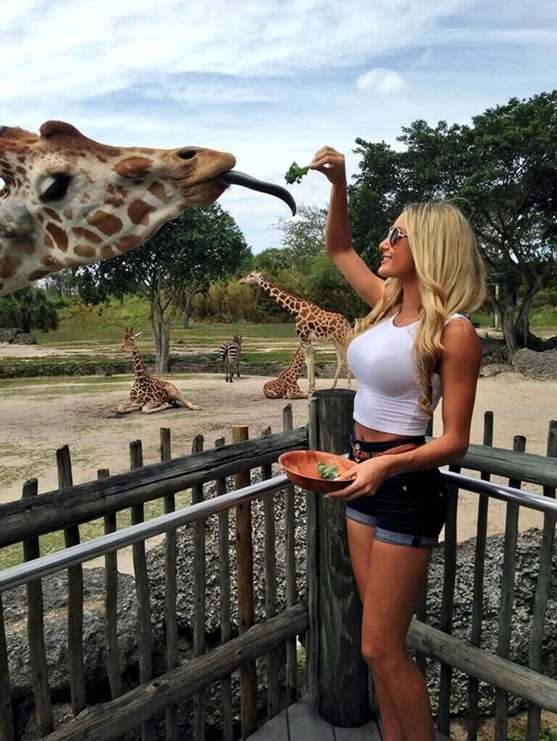 Девушка с жирафом. Прикольная картинка