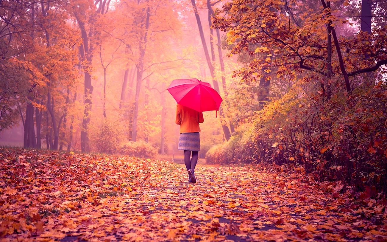 Девушка с зонтом. Картинка