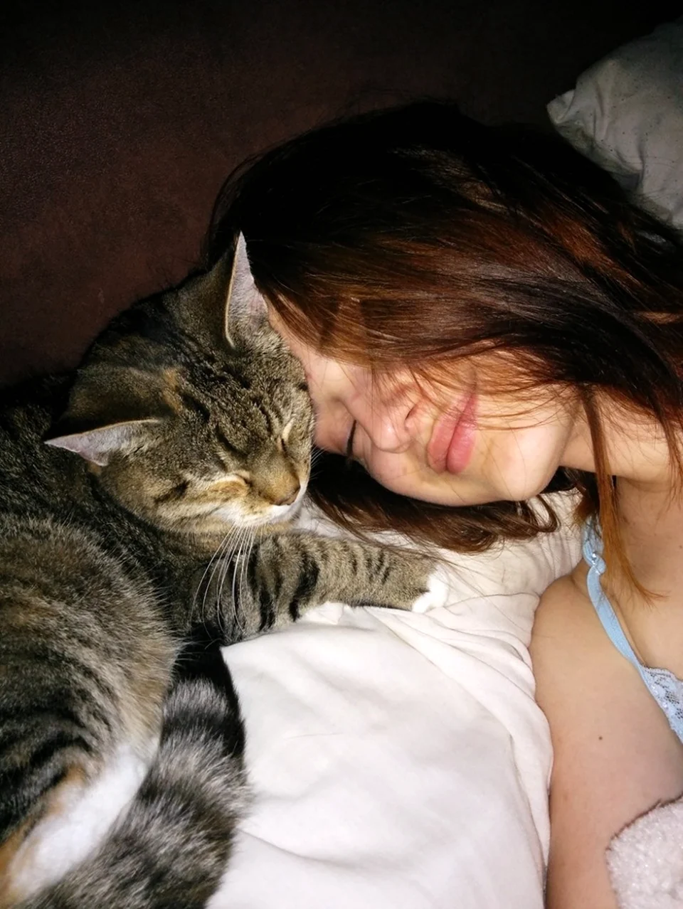 Девушка спит с котом. Красивая девушка