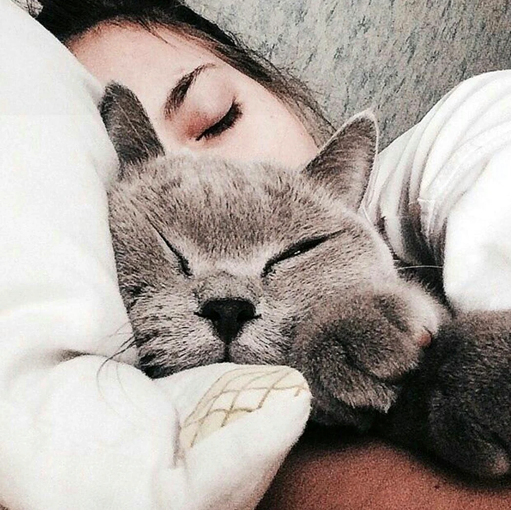 Девушка спит с котом. Красивая девушка